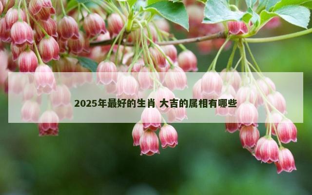 2025年最好的生肖 大吉的属相有哪些