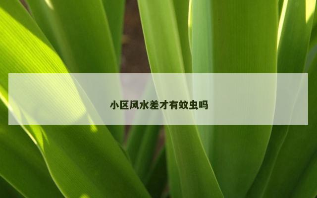 小区风水差才有蚊虫吗