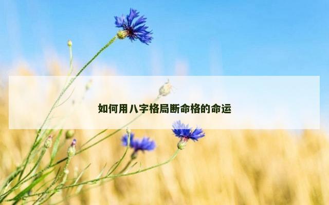 如何用八字格局断命格的命运