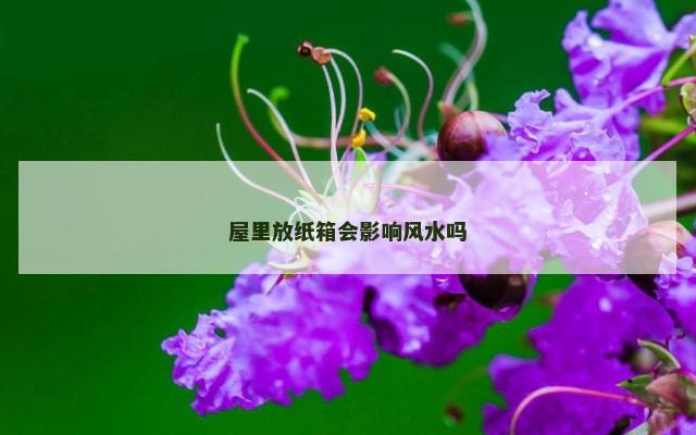 屋里放纸箱会影响风水吗