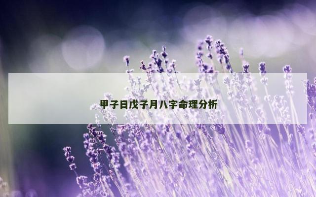甲子日戊子月八字命理分析