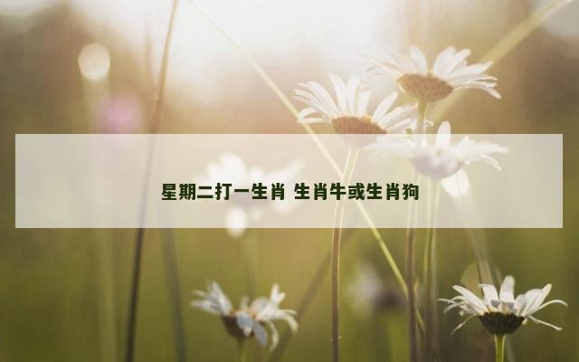 星期二打一生肖 生肖牛或生肖狗