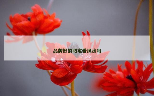 品牌好的阳宅看风水吗