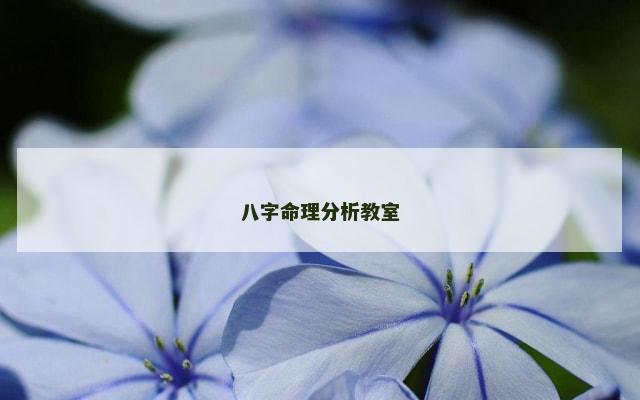 八字命理分析教室