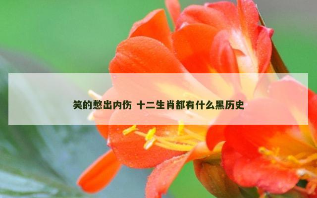 笑的憋出内伤 十二生肖都有什么黑历史