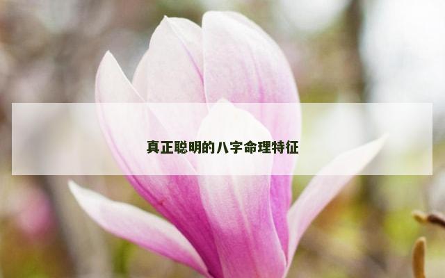 真正聪明的八字命理特征