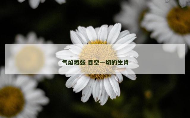 气焰嚣张 目空一切的生肖