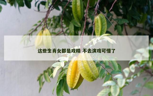 这些生肖女都是戏精 不去演戏可惜了