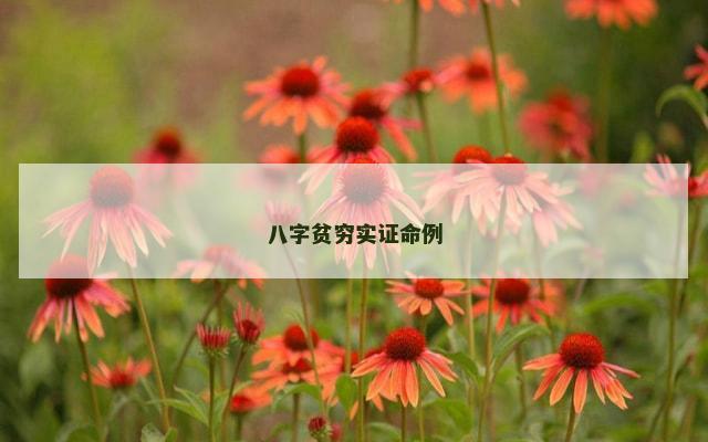 八字贫穷实证命例