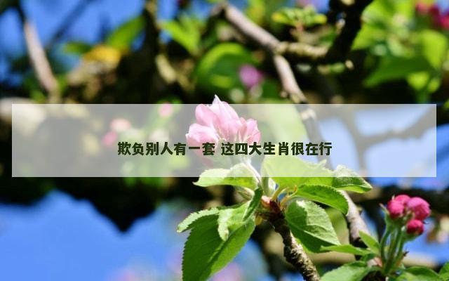 欺负别人有一套 这四大生肖很在行