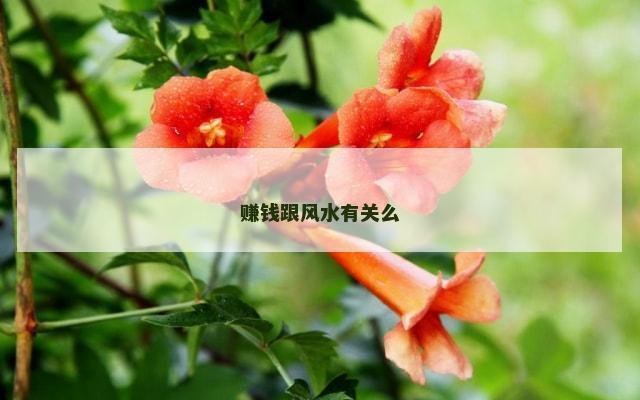 赚钱跟风水有关么
