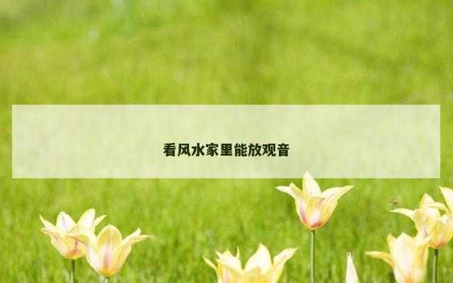 看风水家里能放观音