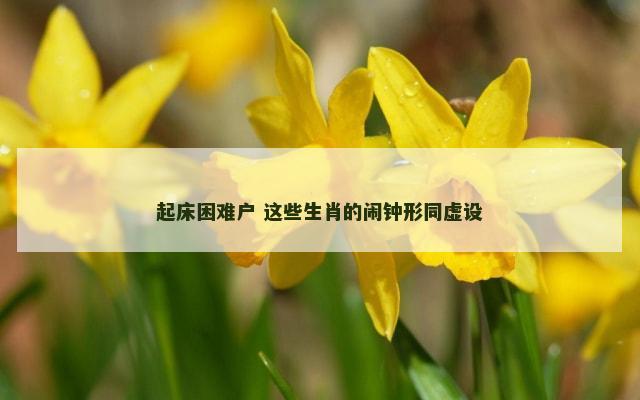 起床困难户 这些生肖的闹钟形同虚设
