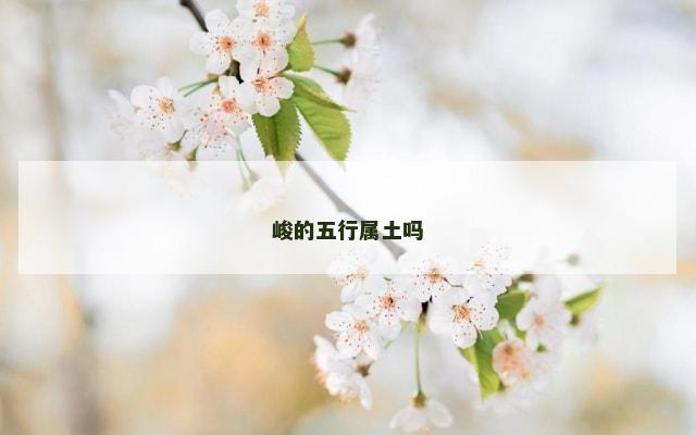峻的五行属土吗