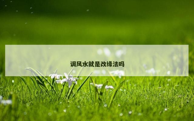 调风水就是改缘法吗