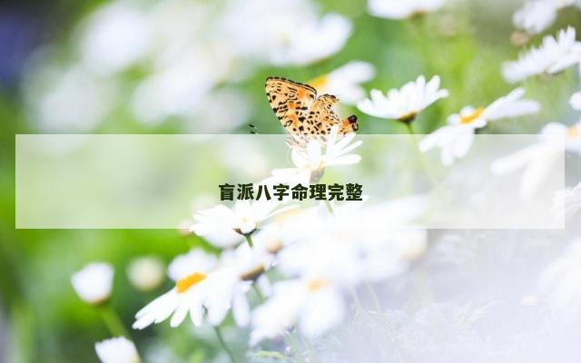 盲派八字命理完整