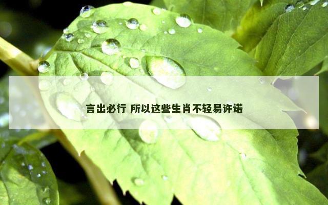 言出必行 所以这些生肖不轻易许诺