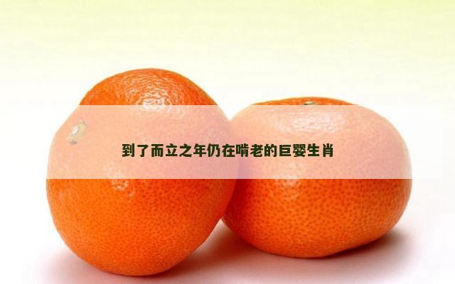 到了而立之年仍在啃老的巨婴生肖