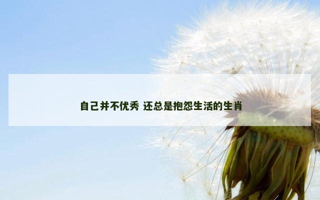自己并不优秀 还总是抱怨生活的生肖