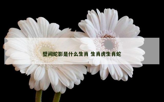 壁间蛇影是什么生肖 生肖虎生肖蛇