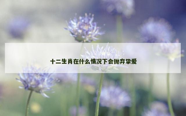 十二生肖在什么情况下会抛弃挚爱