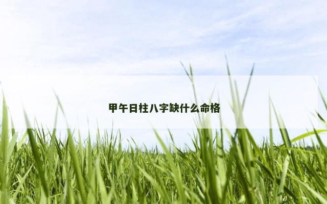 甲午日柱八字缺什么命格