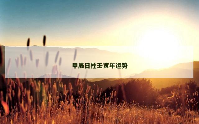 甲辰日柱壬寅年运势