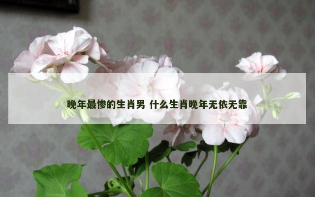 晚年最惨的生肖男 什么生肖晚年无依无靠