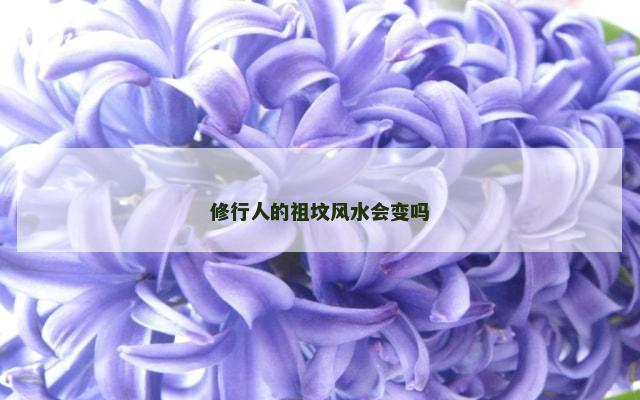 修行人的祖坟风水会变吗