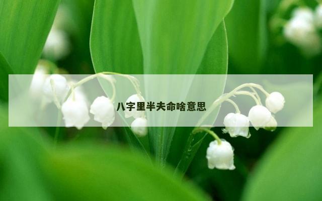 八字里半夫命啥意思