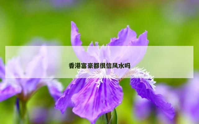 香港富豪都很信风水吗