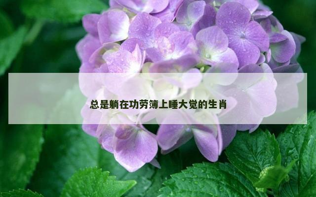 总是躺在功劳簿上睡大觉的生肖
