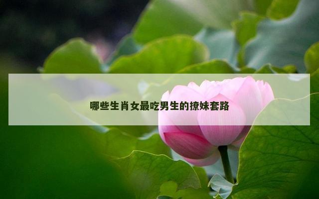 哪些生肖女最吃男生的撩妹套路