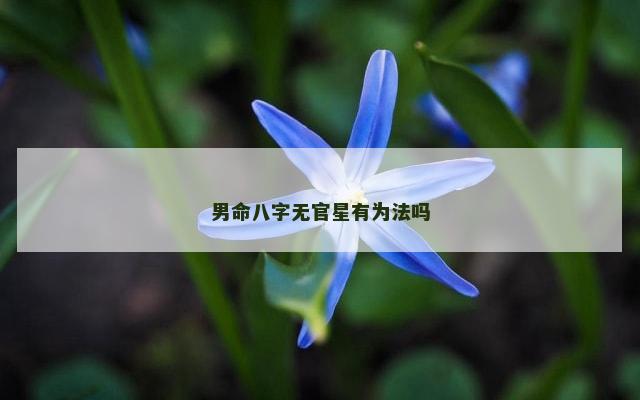 男命八字无官星有为法吗