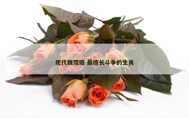 现代魏璎珞 最擅长斗争的生肖