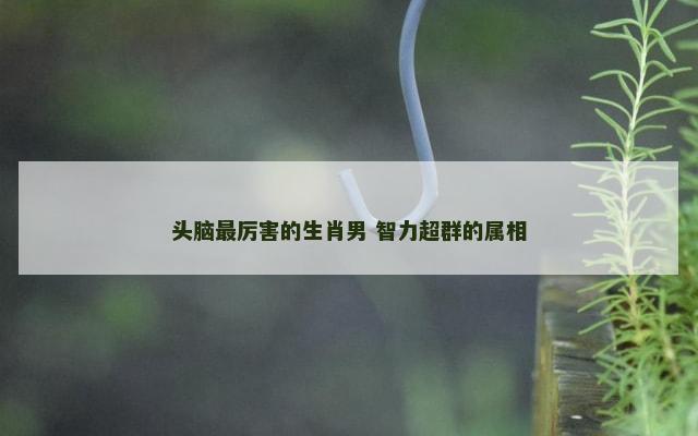 头脑最厉害的生肖男 智力超群的属相