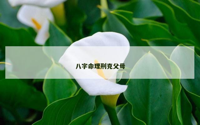 八字命理刑克父母