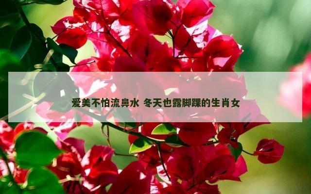 爱美不怕流鼻水 冬天也露脚踝的生肖女