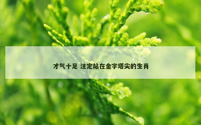 才气十足 注定站在金字塔尖的生肖
