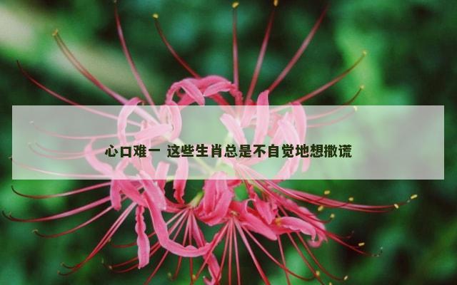 心口难一 这些生肖总是不自觉地想撒谎