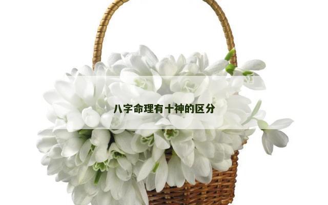 八字命理有十神的区分