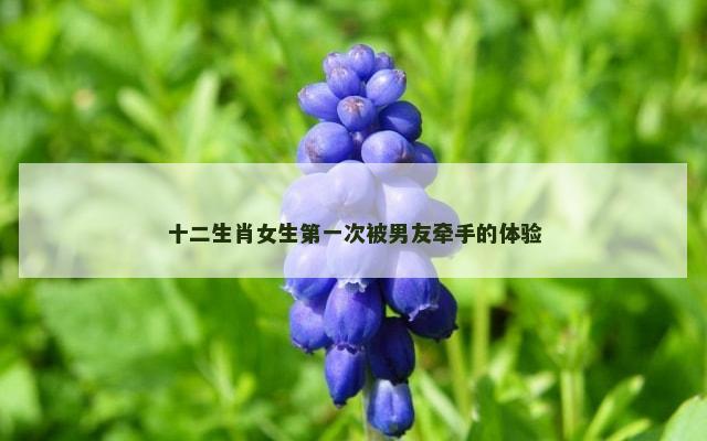 十二生肖女生第一次被男友牵手的体验