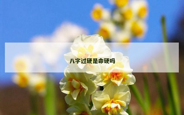 八字过硬是命硬吗