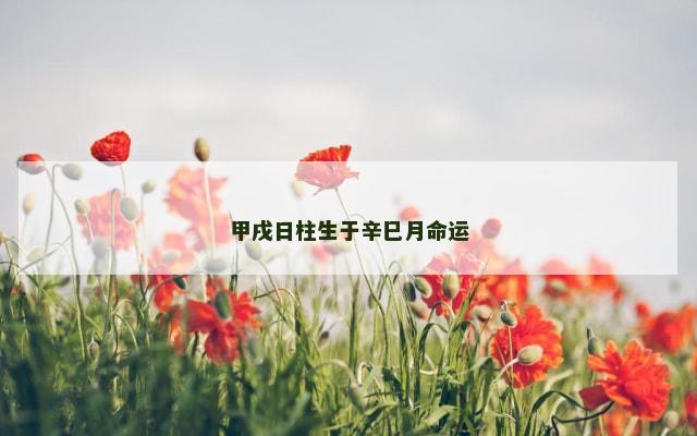 甲戌日柱生于辛巳月命运