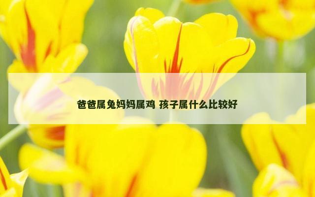 爸爸属兔妈妈属鸡 孩子属什么比较好
