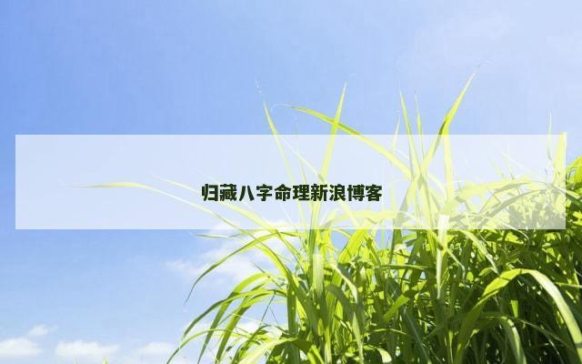 归藏八字命理新浪博客