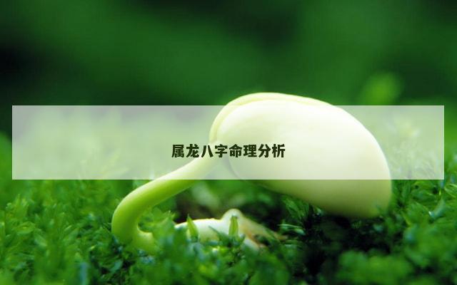 属龙八字命理分析