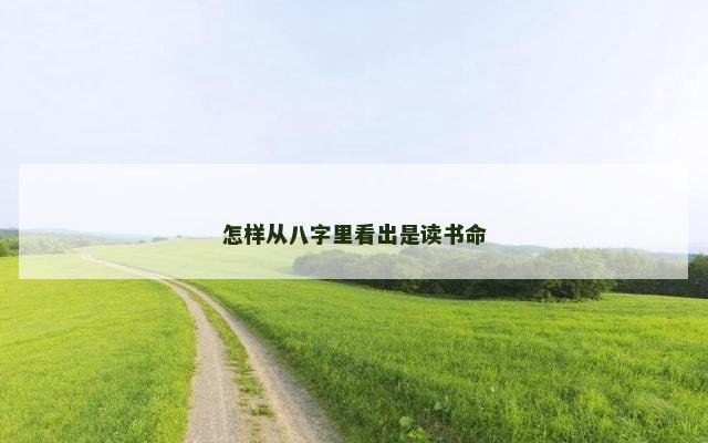怎样从八字里看出是读书命