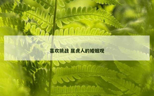 喜欢挑战 属虎人的婚姻观