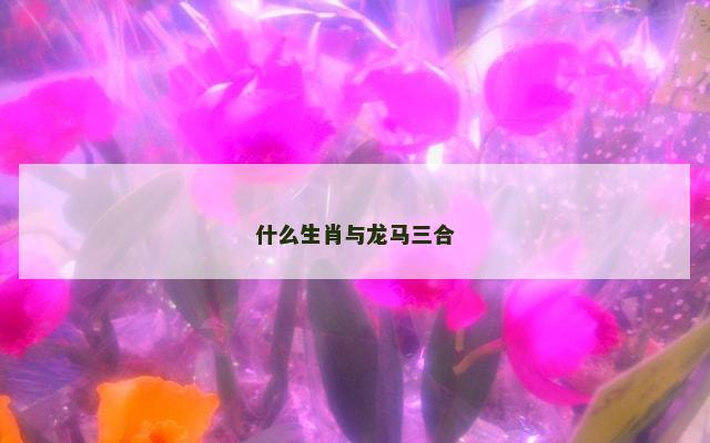 什么生肖与龙马三合